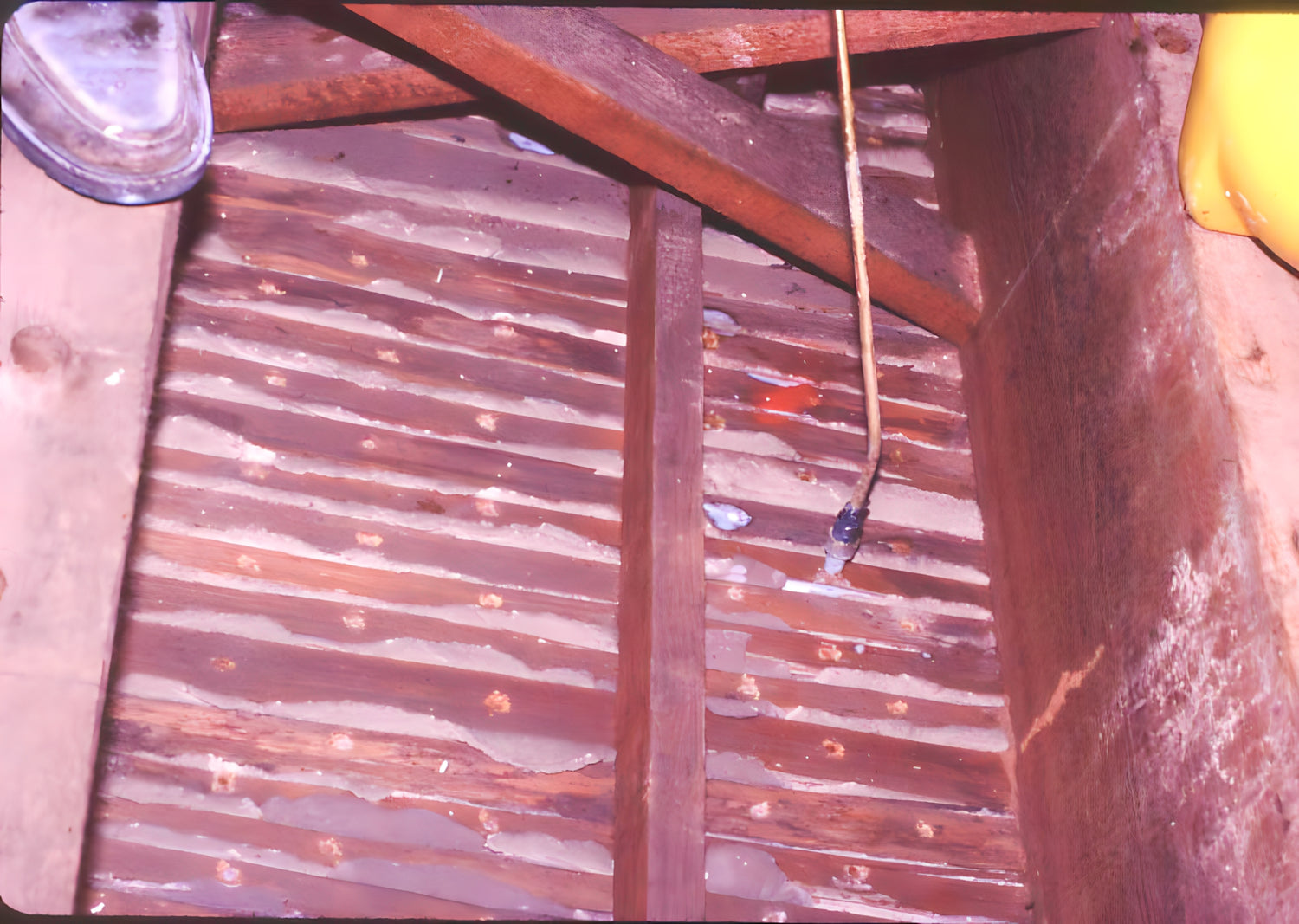 Wooden deck with peeling paint and a person wearing yellow shorts partially visible.