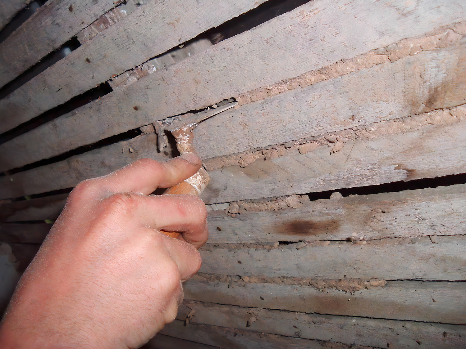Hand holding a tool against a wooden ceiling with visible damage