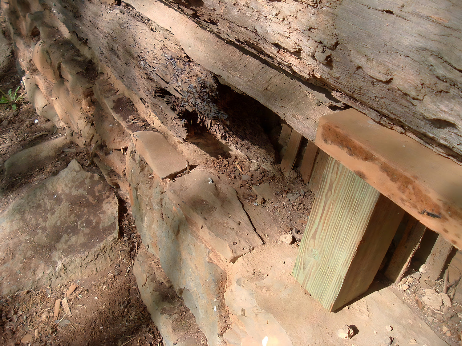 Wooden bench partially buried in the ground with natural surroundings
